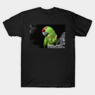 Thick Billed Parrot T-Shirt